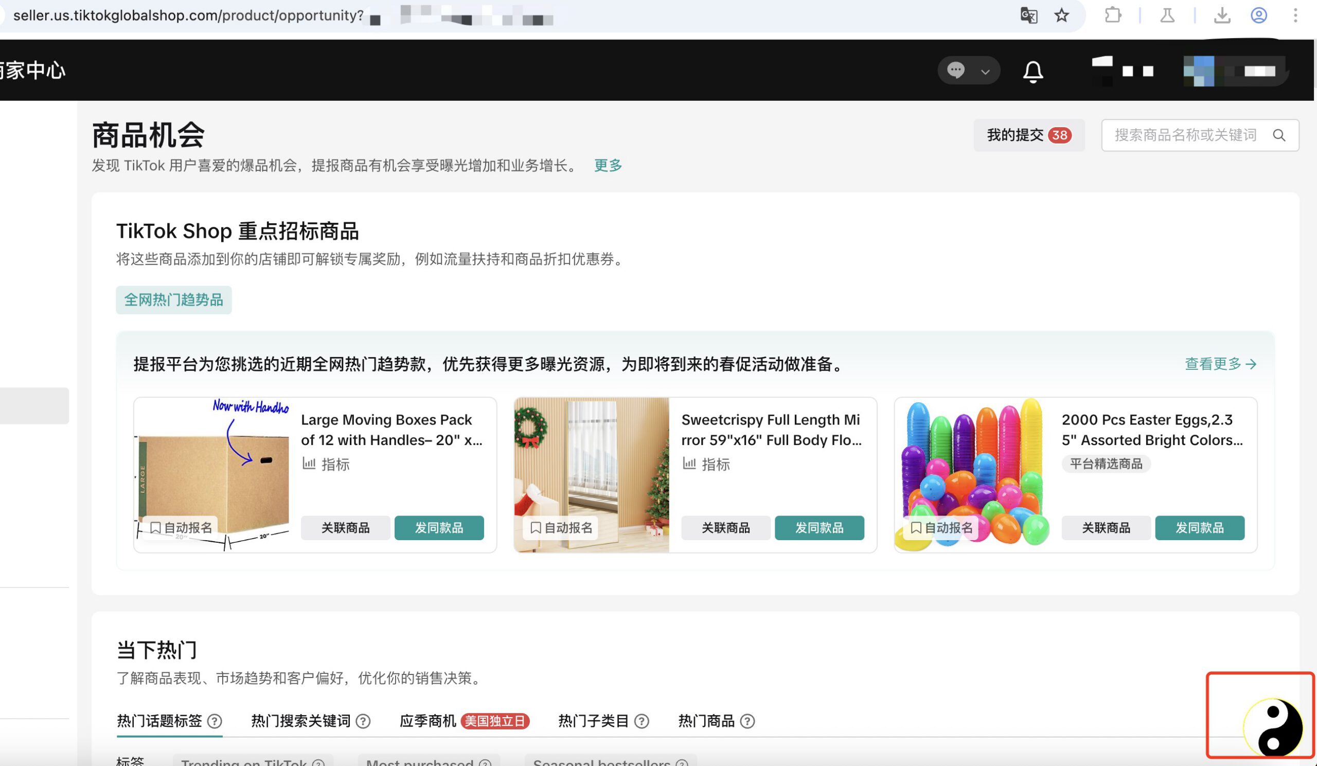 Taiji plugin icon loading on TikTok Shop backend