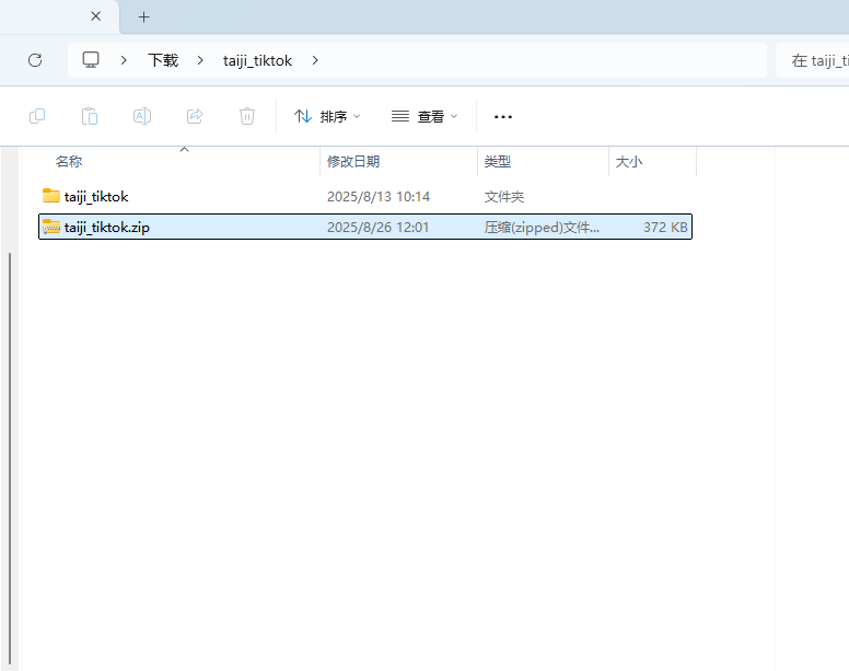taiji_tiktok.zip